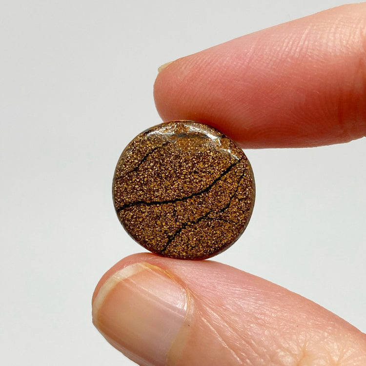 6.63 Ct green circle boulder opal