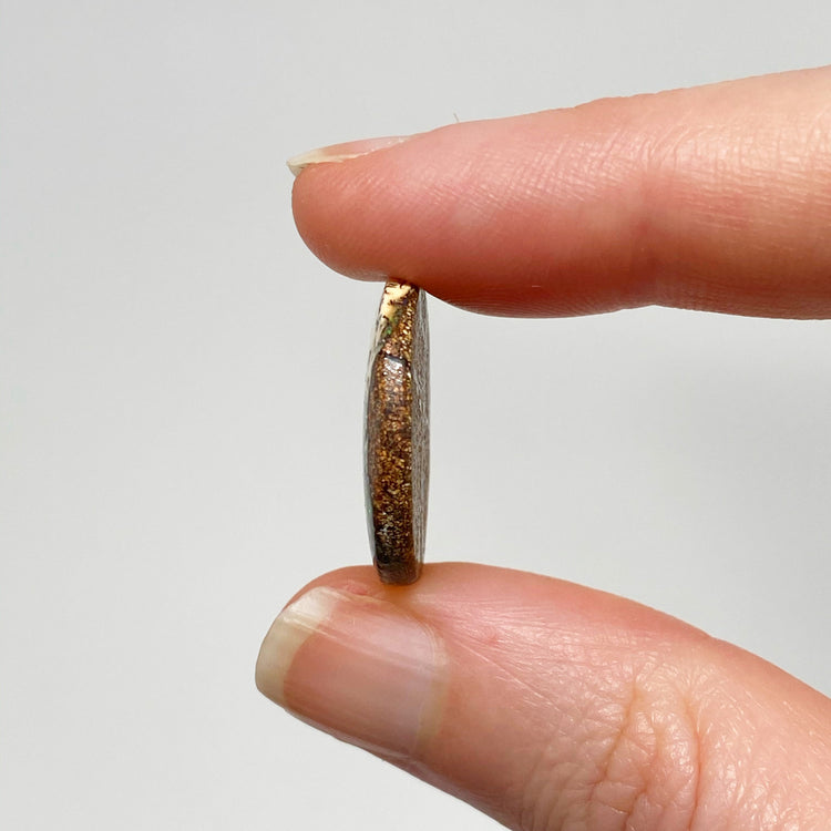 23.80 Ct round boulder opal pair