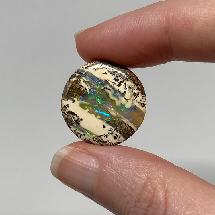 23.80 Ct round boulder opal pair
