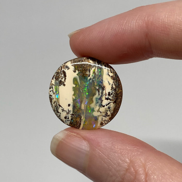 23.80 Ct round boulder opal pair