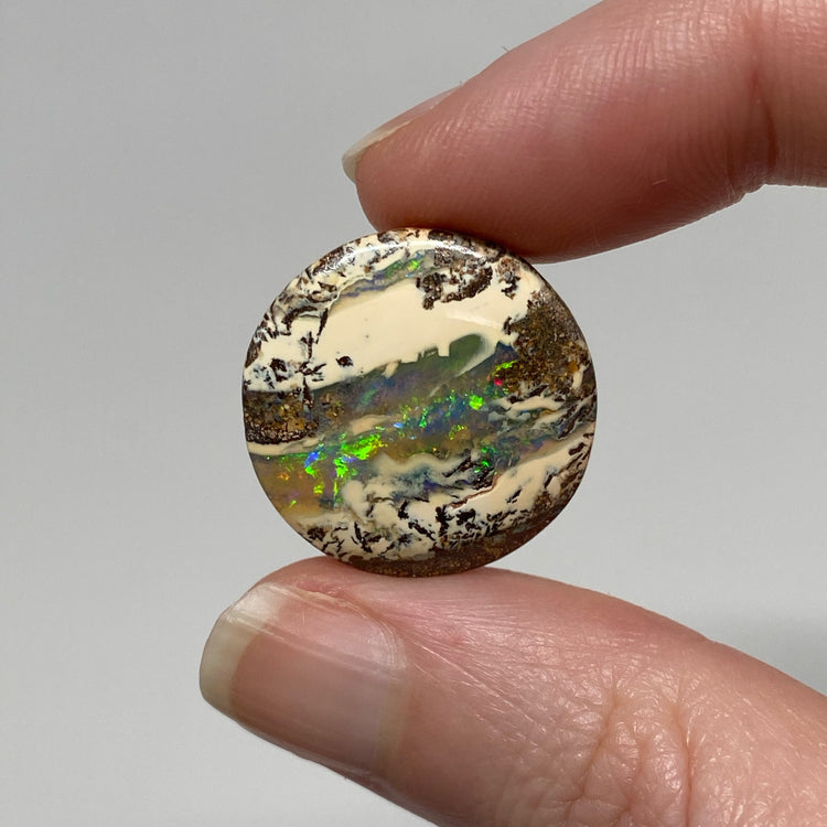 23.80 Ct round boulder opal pair
